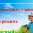 Дан старт социальной кампании «Лето в режиме «Безопасный» - Газета Вохомская правда
