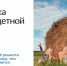 От регистрации ребёнка до оформления материнского капитала ‎ - Газета Вохомская правда