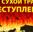 Пал сухой травы - Вохомский район